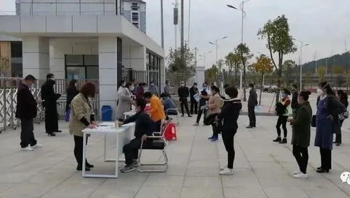 战疫情抓发展 全南“厂门连家门”一站式服务，稳就业保用工家政服务新举措